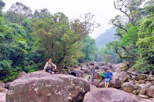“Mắt thần” và những bí mật giữa rừng sâu