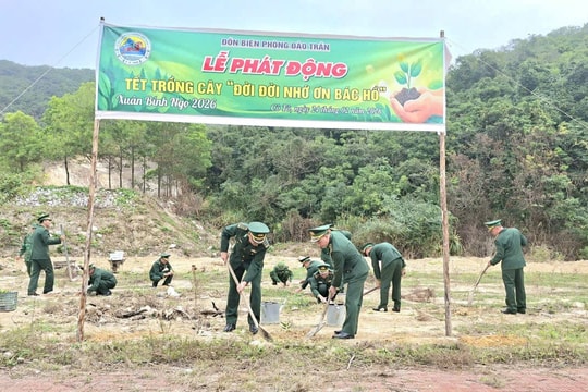 Tết trồng cây ở Đảo Trần - giữ màu xanh thiêng liêng nơi đầu sóng