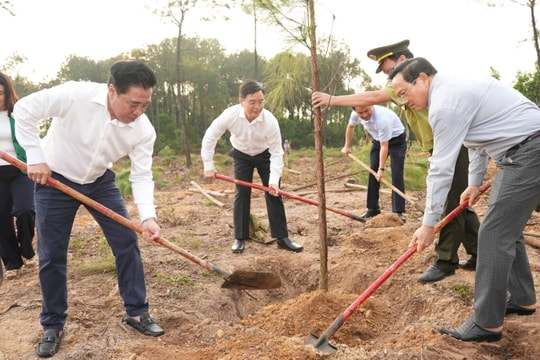 Huế ra quân trồng cây đầu Xuân, vun đắp tương lai bền vững