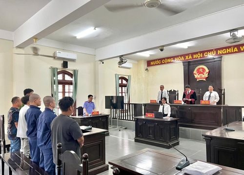 Trộm xe, môi giới và người mua đều lĩnh án