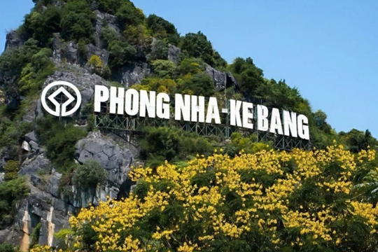 Không đánh đổi rừng lấy tăng trưởng