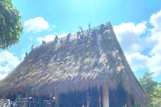 Đồng bào Xơ Đăng chung tay sửa chữa mái nhà rông bị hư hỏng do bão