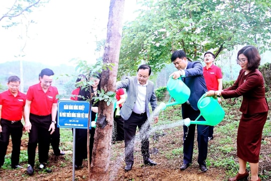 Agribank với “Về nguồn” và “Tết trồng cây” tại Tuyên Quang