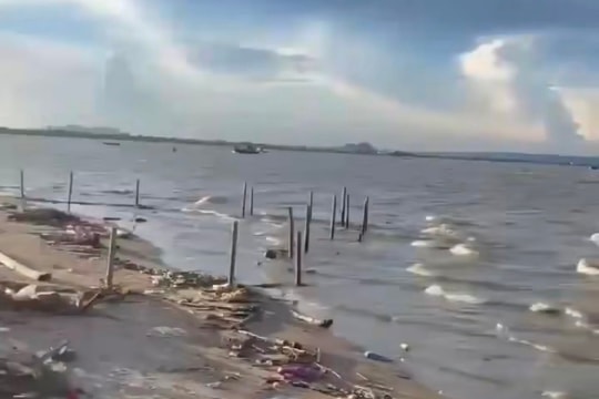 Thuê xe công nông chở rác thải đổ ra biển