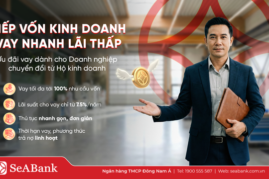 Kinh doanh nhiều năm vẫn khó vay vốn sau chuyển đổi doanh nghiệp
