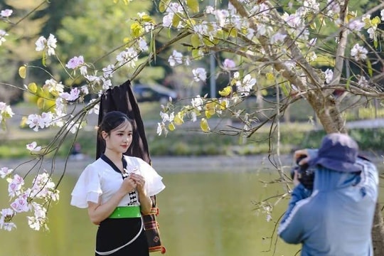 Phát động cuộc thi video, clip 'Ấn tượng Điện Biên' năm 2026