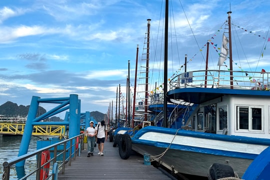 Quảng Ninh rà soát toàn diện an toàn tàu du lịch