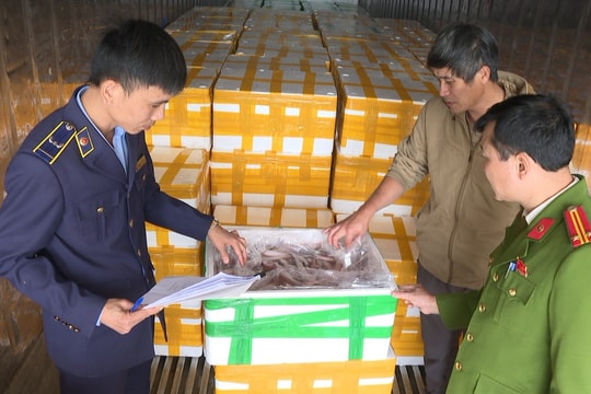 Bắt giữ nhiều vụ việc nghiêm trọng liên quan đến thực phẩm bẩn