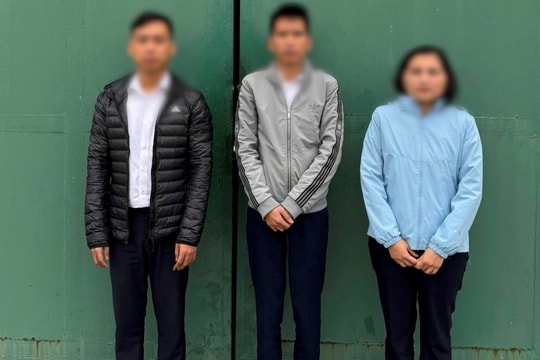 Kết quả điều tra mở rộng án vụ lừa đảo liên quan đến dự án khu nhà ở Anh Dũng IV