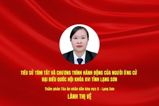 Tiểu sử tóm tắt và chương trình hành động của người ứng cử ĐBQH khóa XVI tỉnh Lạng Sơn