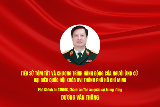 Tiểu sử tóm tắt và chương trình hành động của người ứng cử ĐBQH khóa XVI thành phố Hồ Chí Minh