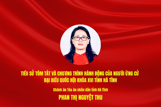 Tiểu sử tóm tắt và chương trình hành động của người ứng cử ĐBQH khóa XVI tỉnh Hà Tĩnh