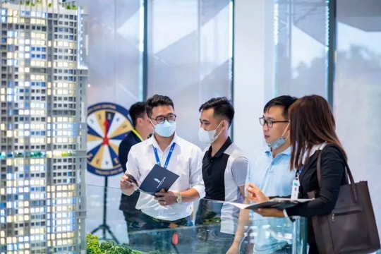 Chất lượng môi giới BĐS ở mức đáng báo động