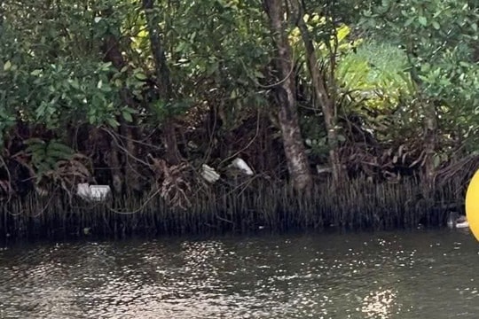 Phát hiện thi thể trẻ sơ sinh trôi trên sông