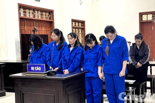 Tuyên án 10 bị cáo trong đường dây mang thai hộ xuyên quốc gia
