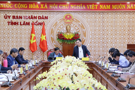 Tháo gỡ khó khăn cho 14 dự án điện gió, điện mặt trời tại Lâm Đồng