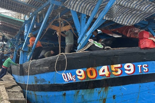 Tàu cá và 36 ngư dân Quảng Ngãi được cứu hộ, lai dắt vào bờ an toàn