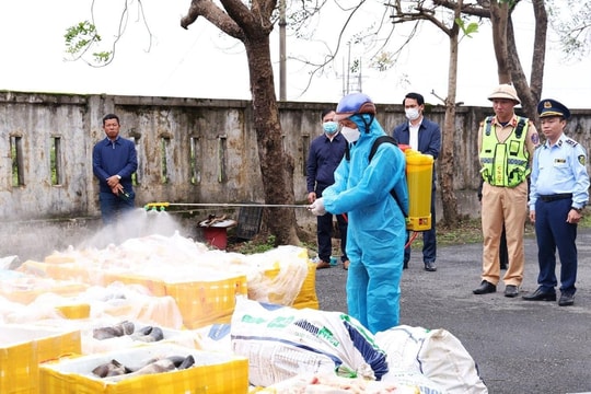 Phát hiện hơn 2,6 tấn nội tạng động vật không rõ nguồn gốc