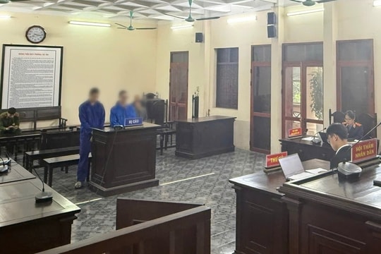 Cùng nhau sử dụng ma túy, 4 bị cáo lĩnh án