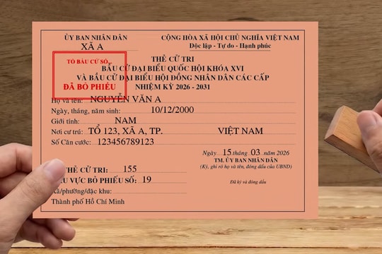 Quyền bầu cử của các cử tri?