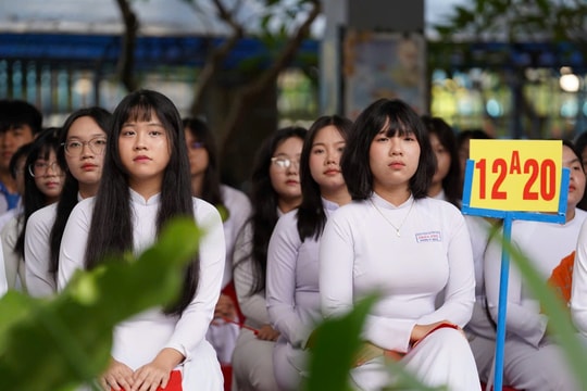 TPHCM tuyển sinh đầu cấp trực tuyến, phân tuyến bằng bản đồ số