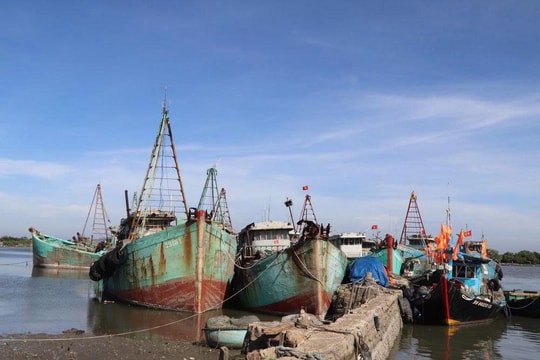 TPHCM siết chặt quản lý tàu cá chưa đủ điều kiện bằng thiết bị giám sát hành trình