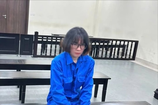 Lừa làm dịch vụ mang thai hộ, chiếm đoạt hơn 1,3 tỷ đồng