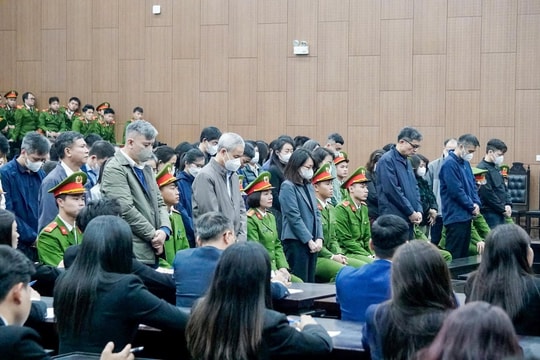 Bản tin Podcast Pháp đình ngày 13/3/2026