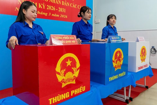 Áo xanh tình nguyện xung kích ở các điểm bầu cử TP.HCM