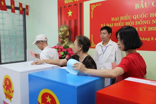 TP.HCM: Hơn 96% cử tri tham gia bầu cử