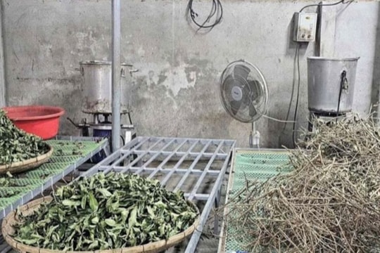 Tăng cường kiểm tra Phòng khám y học cổ truyền sau vụ Hoàng Minh Đường