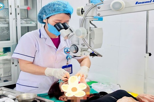 Phát hiện rận mu ký sinh trên lông mi một phụ nữ