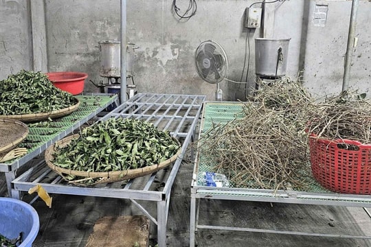 Sở Y tế Thanh Hóa lên tiếng về vụ Hoàng Minh Đường lừa dối hàng chục nghìn người