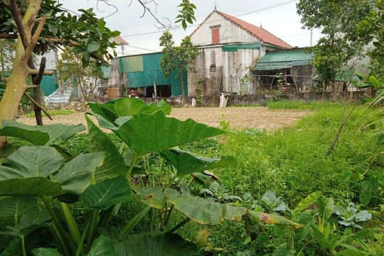Hà Tĩnh: Diện tích 'tăng' sau điều chỉnh hành lang điện, người dân mong được bảo vệ quyền lợi hợp pháp