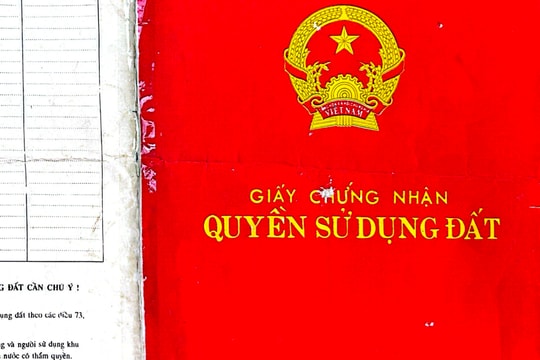 Khởi tố đối tượng lừa đảo cấp giấy chứng nhận, chuyển mục đích sử dụng đất