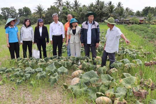 TAND tỉnh Cà Mau chung tay hỗ trợ nông dân giải cứu nông sản