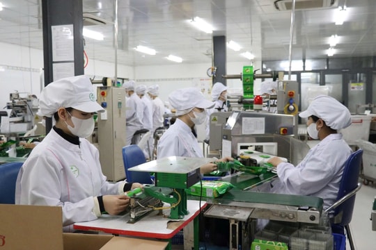 Đà Nẵng điều chỉnh dự án nâng cao kỹ năng số cho nữ công nhân