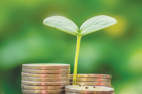 Huy động 1.000 tỷ đồng kiều hối cho tín dụng xanh và công nghệ