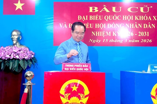 125 người trúng cử đại biểu HĐND TP.HCM khóa XI
