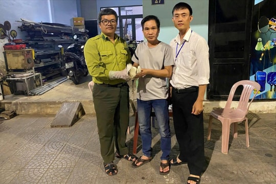 Cò tuyết lạc vào khu dân cư, người dân chủ động báo kiểm lâm