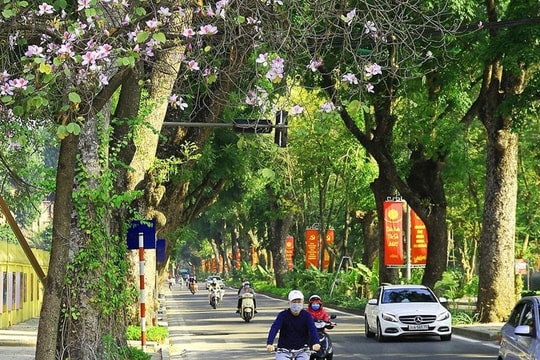 Thời tiết hôm nay 24/3: Cả nước nắng ráo chủ đạo