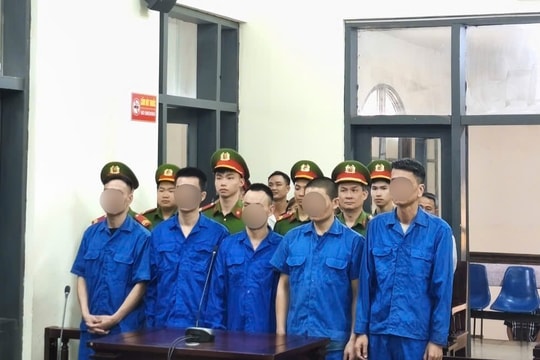 Quảng Ninh: Nhiều bị cáo lĩnh án vì ma túy
