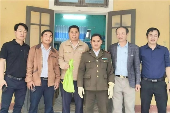 Phát hiện cu li nhỏ quý hiếm trong sân trường ở A Lưới