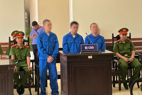 Rủ bạn góp tiền mua ma túy, 3 bị cáo lĩnh án