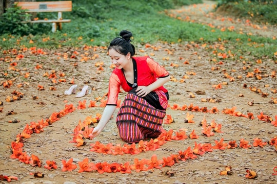 Hoa gạo tháng ba - Đỏ một miền ký ức