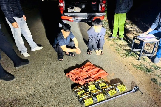 Hải quan liên tiếp triệt phá các vụ vận chuyển ma túy lớn