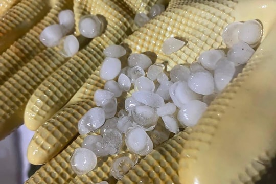 Mưa đá, giông lốc tại Quảng Ninh
