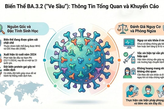 Bản tin Podcast Công lý - Đời sống ngày 30/3/2026