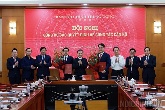 Bổ nhiệm Trợ lý, Thư ký của Ủy viên Bộ Chính trị, Bí thư Trung ương Đảng, Trưởng Ban Nội chính Trung ương