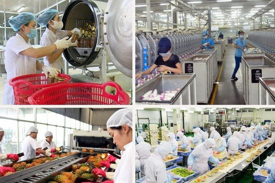 Nhóm thực phẩm Việt chuyển đổi tư duy để bứt phá